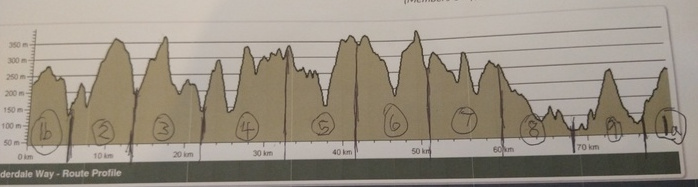 elevation profile of the route