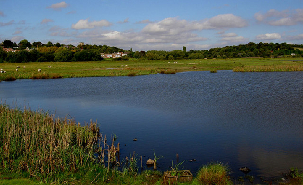 Wombwell Ings.